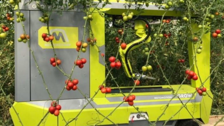 Israel presenta el primer robot de recolección de tomates del mundo